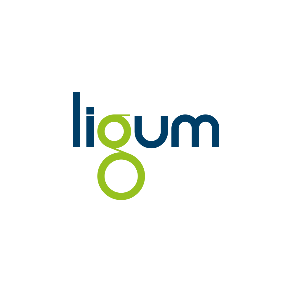 Логотип и фирменный стиль для компании «Ligum»