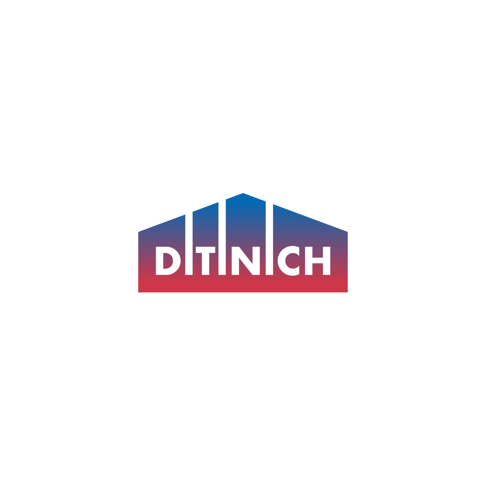 Логотип «Ditinich»
