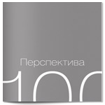 Брошюра для компании «Перспектива–100»